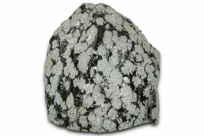 Snowflake Obsidian Section - Utah #327134